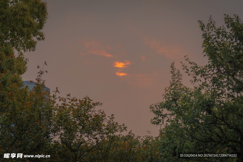 黄昏林间天空的美丽景象