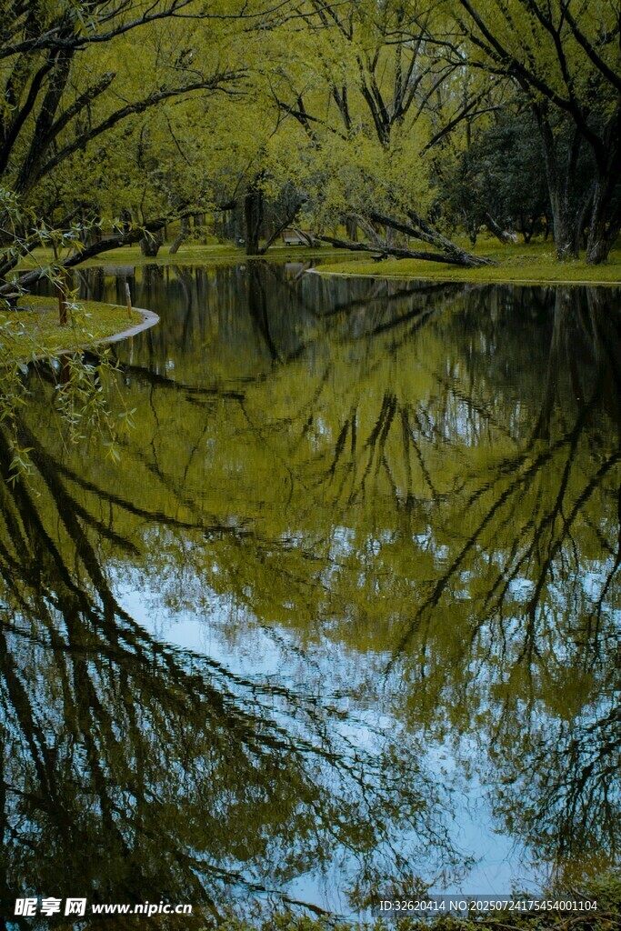林间静湖倒影如画