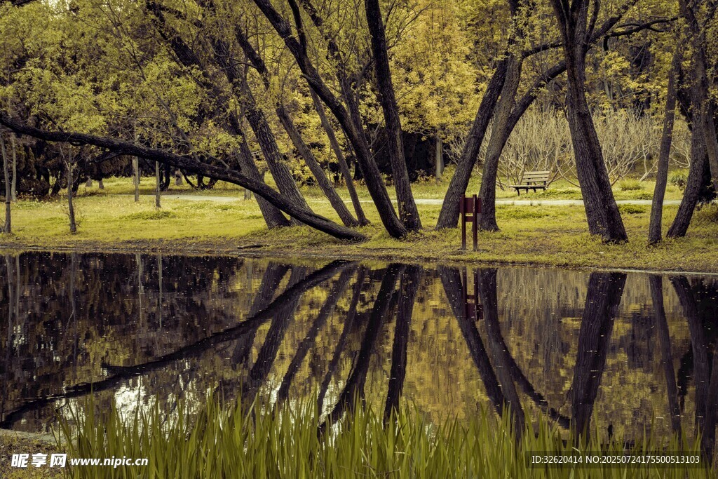 林间静湖倒影美景