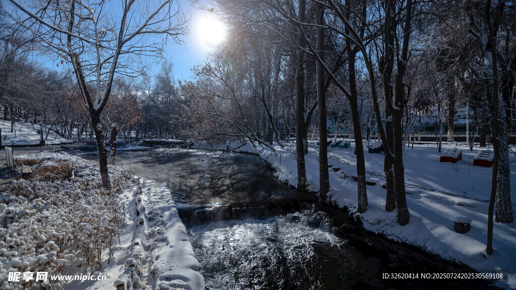 冬日雪覆树林中的阳光溪流