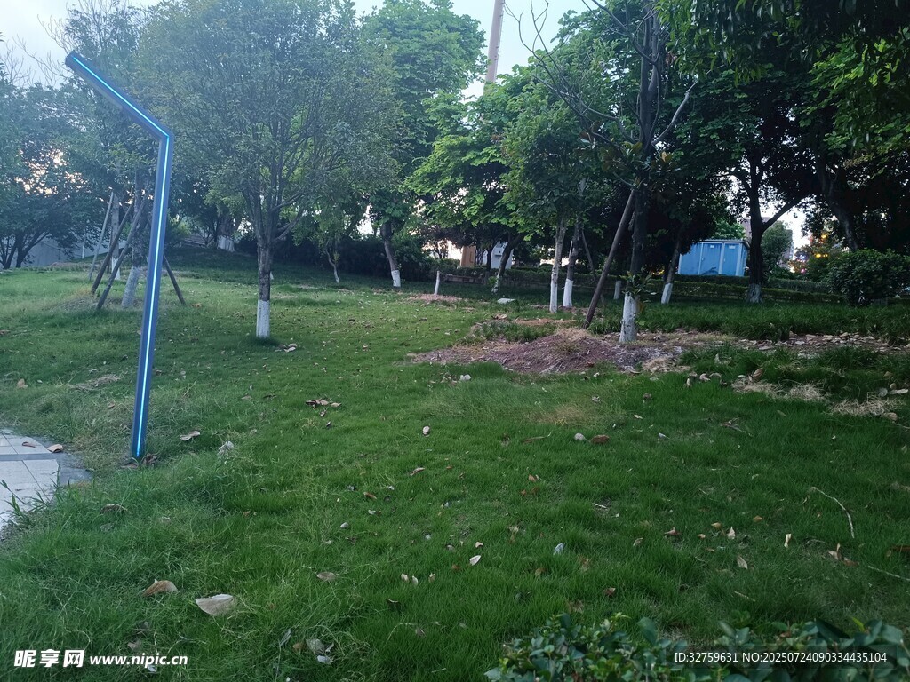 公园绿意盎然的草地景观