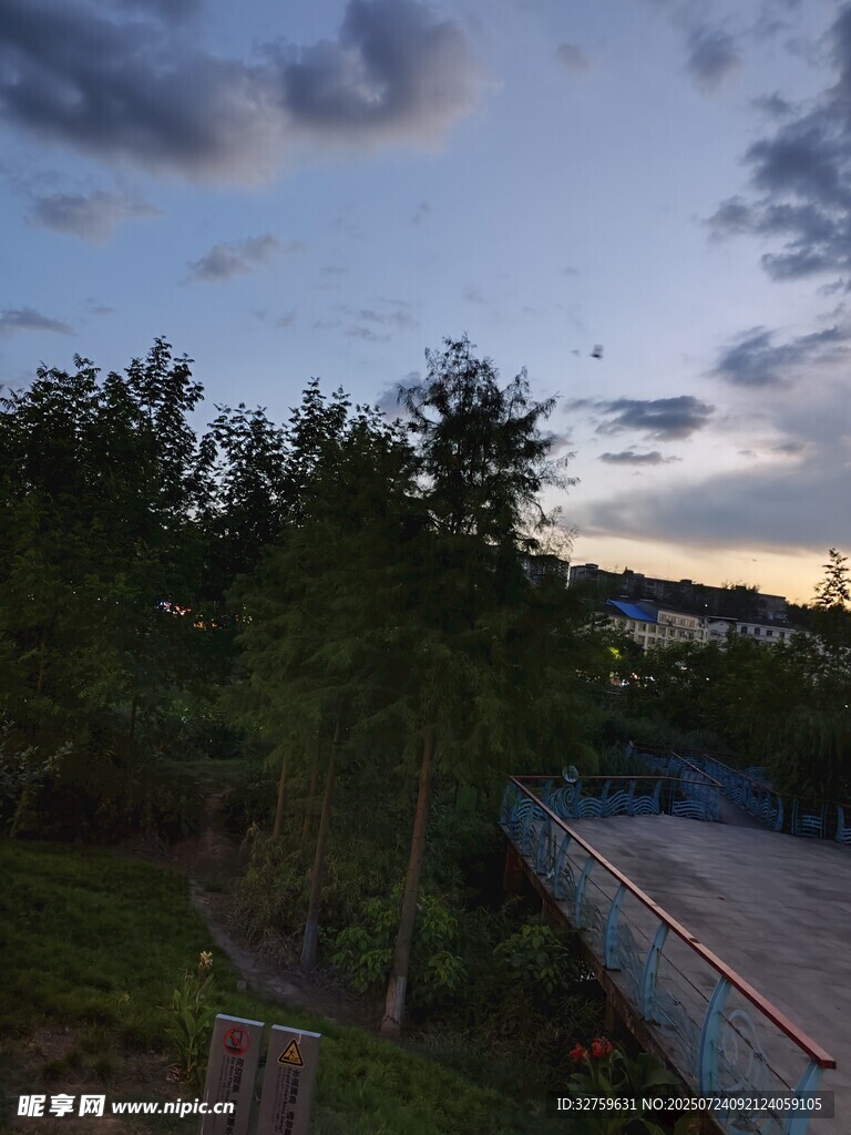 黄昏下的树林与开阔景致