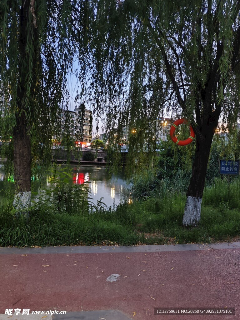 河畔垂柳风景图