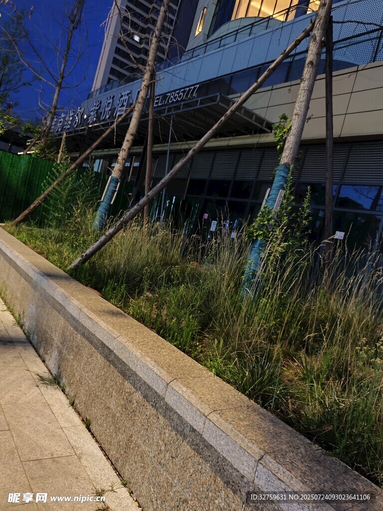 城市中桥边的绿植景观