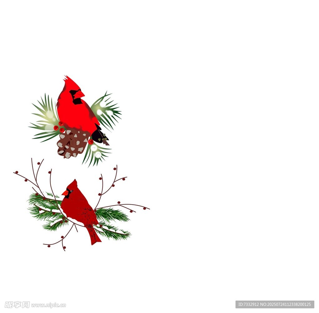 圣诞红鸟与绿植装饰图案