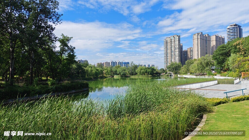 城市湖畔绿意盎然景观