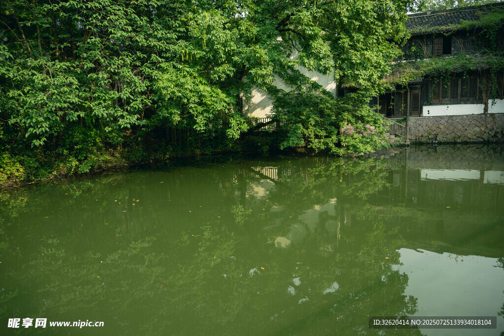 清幽池塘边的绿植景观