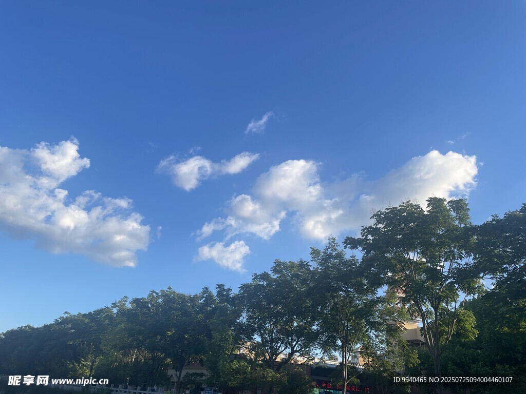 蓝天绿树间的悠然景致