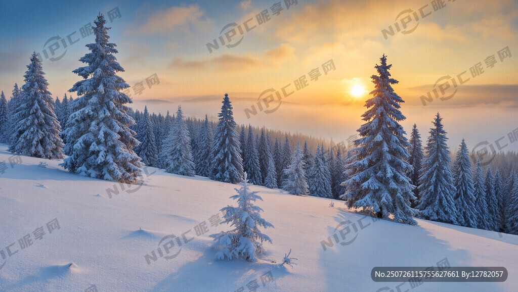 日出 雪景 松树 雾凇