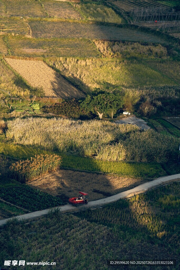 田园风光中的蜿蜒小路