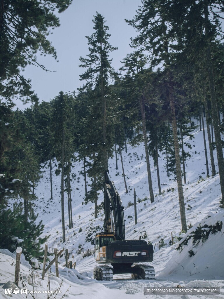 雪地中的伐木作业场景