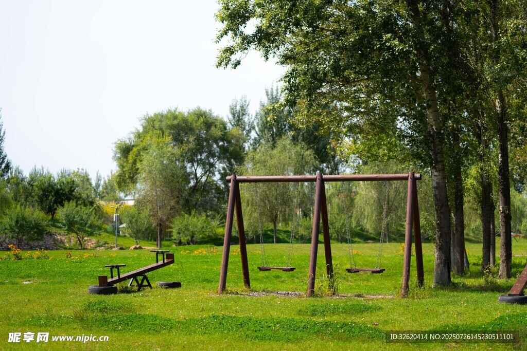 户外草地秋千休闲场景