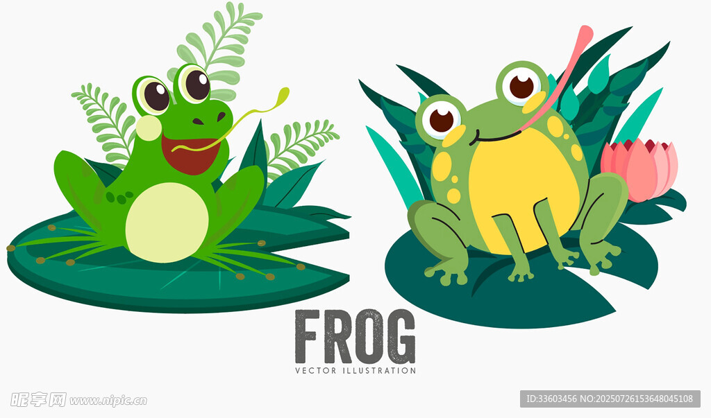 两只可爱青蛙在荷叶上