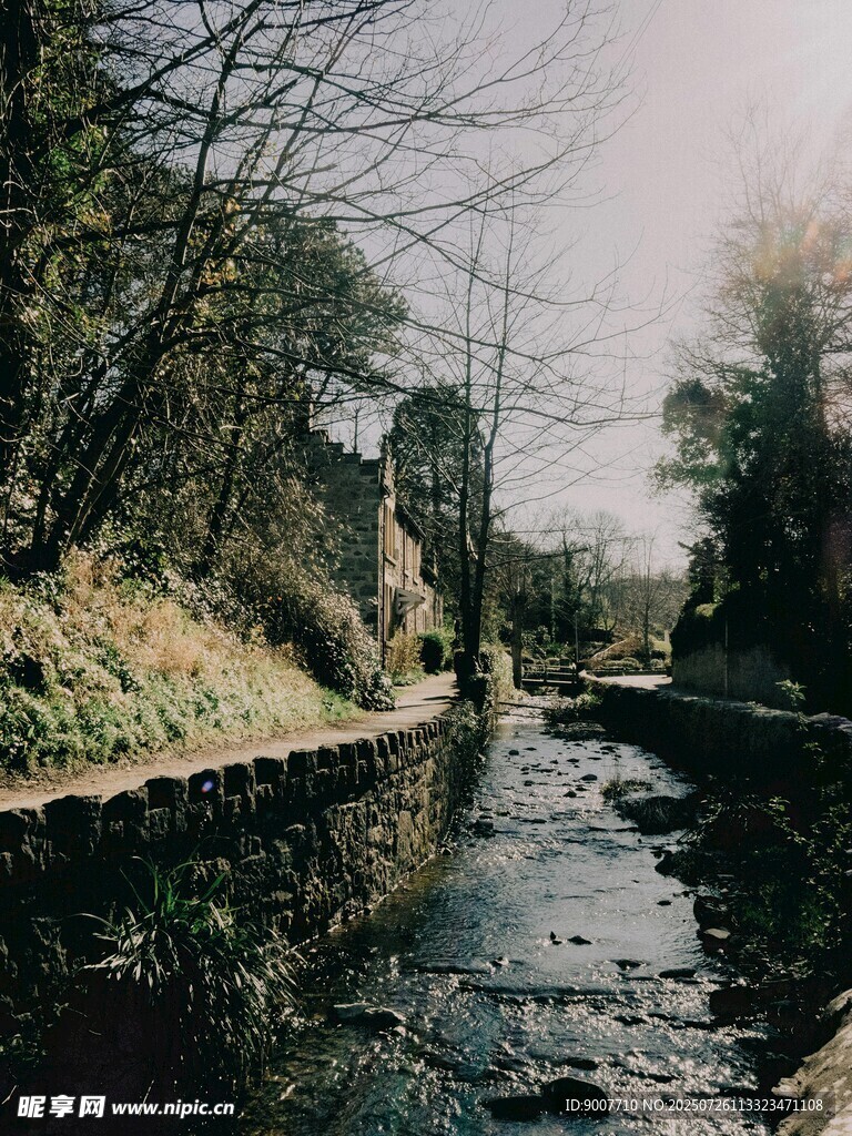 山间溪流蜿蜒于树林间