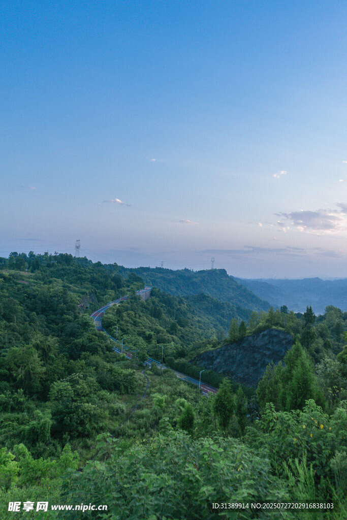 山间公路旁的葱郁绿意