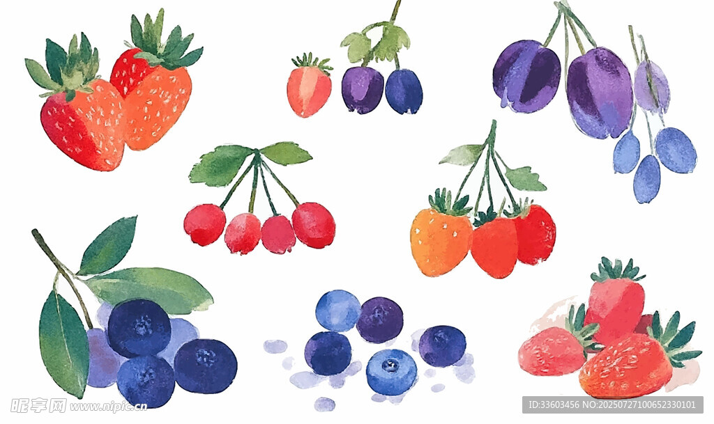 缤纷浆果插画