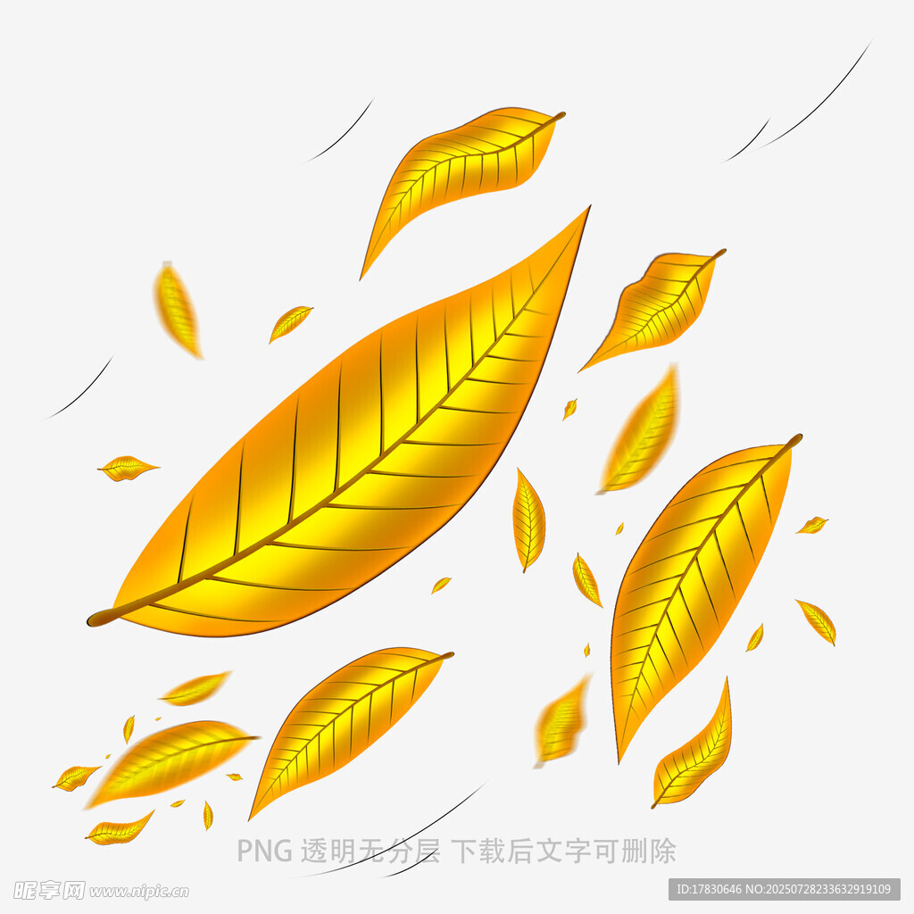 飘落的金黄秋叶