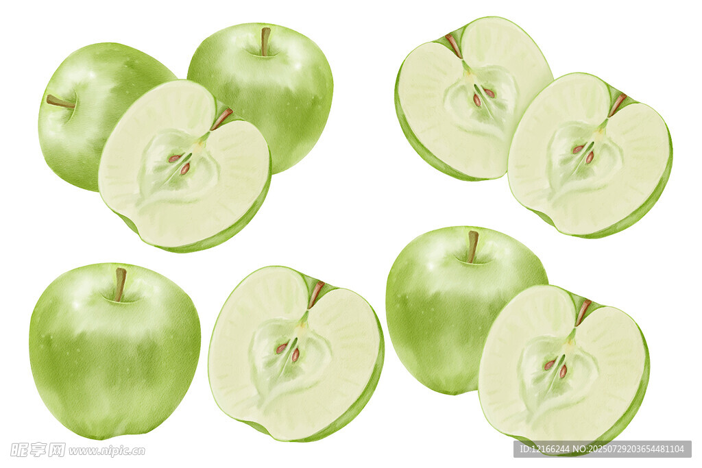 青苹果插图 