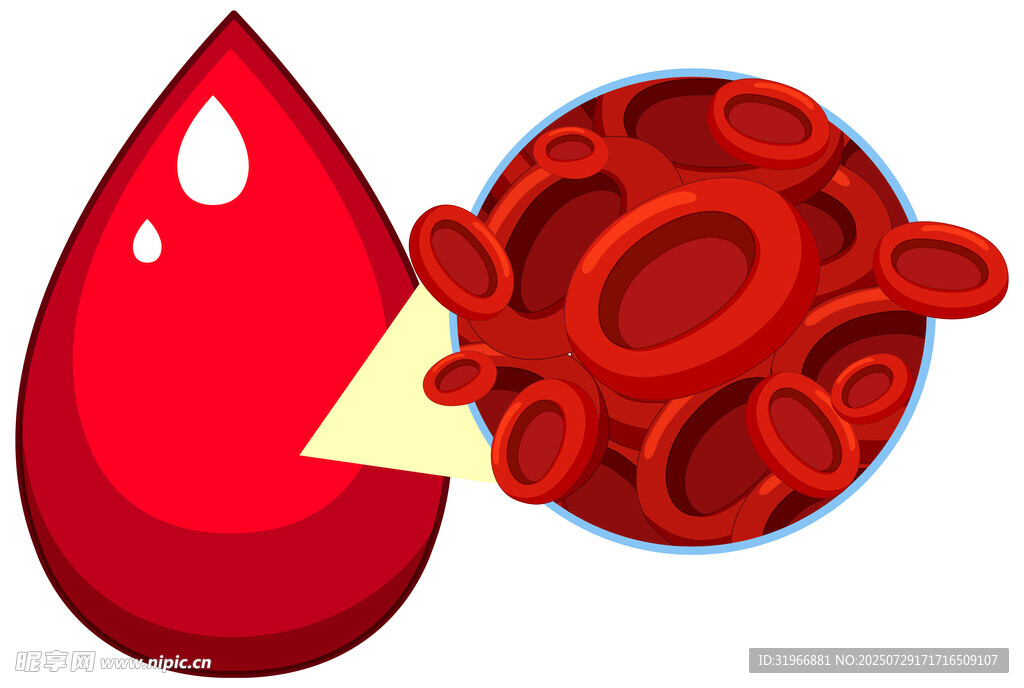 血滴红细胞图案