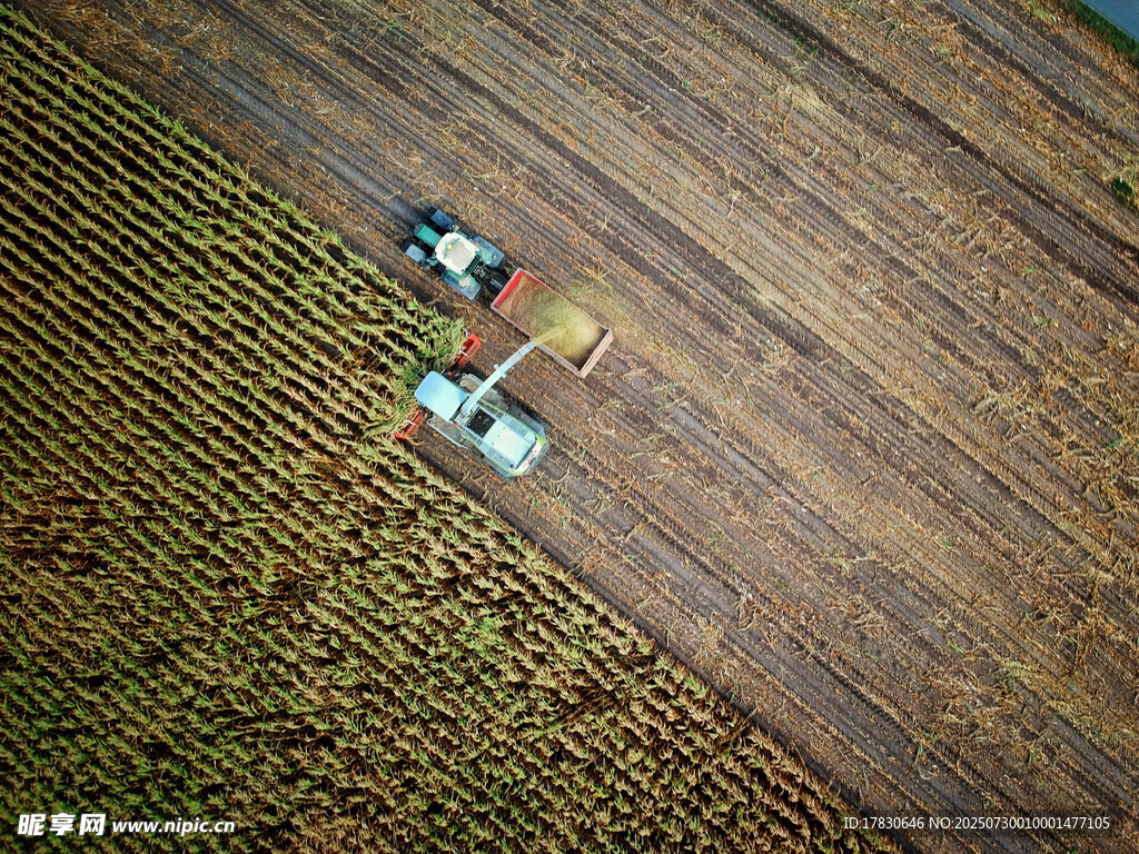 空中俯瞰农田与行驶车辆