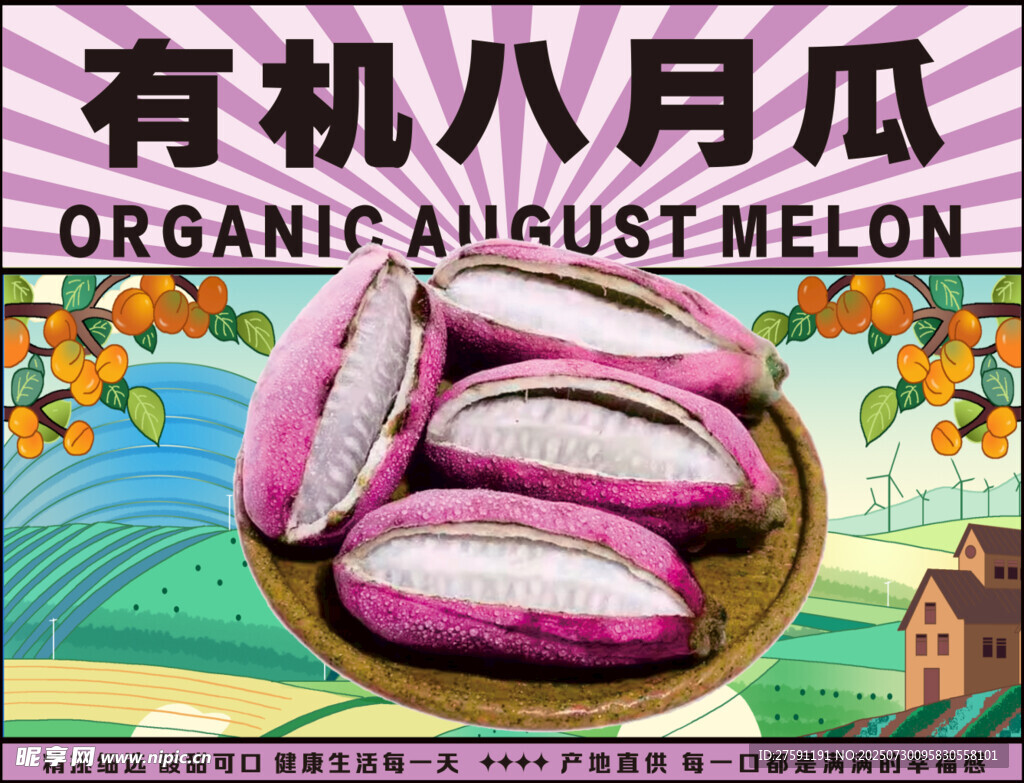 有机八月瓜 包装