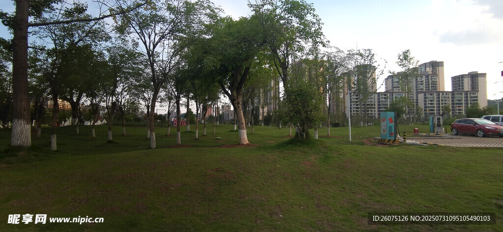 城市中的绿意公园景观