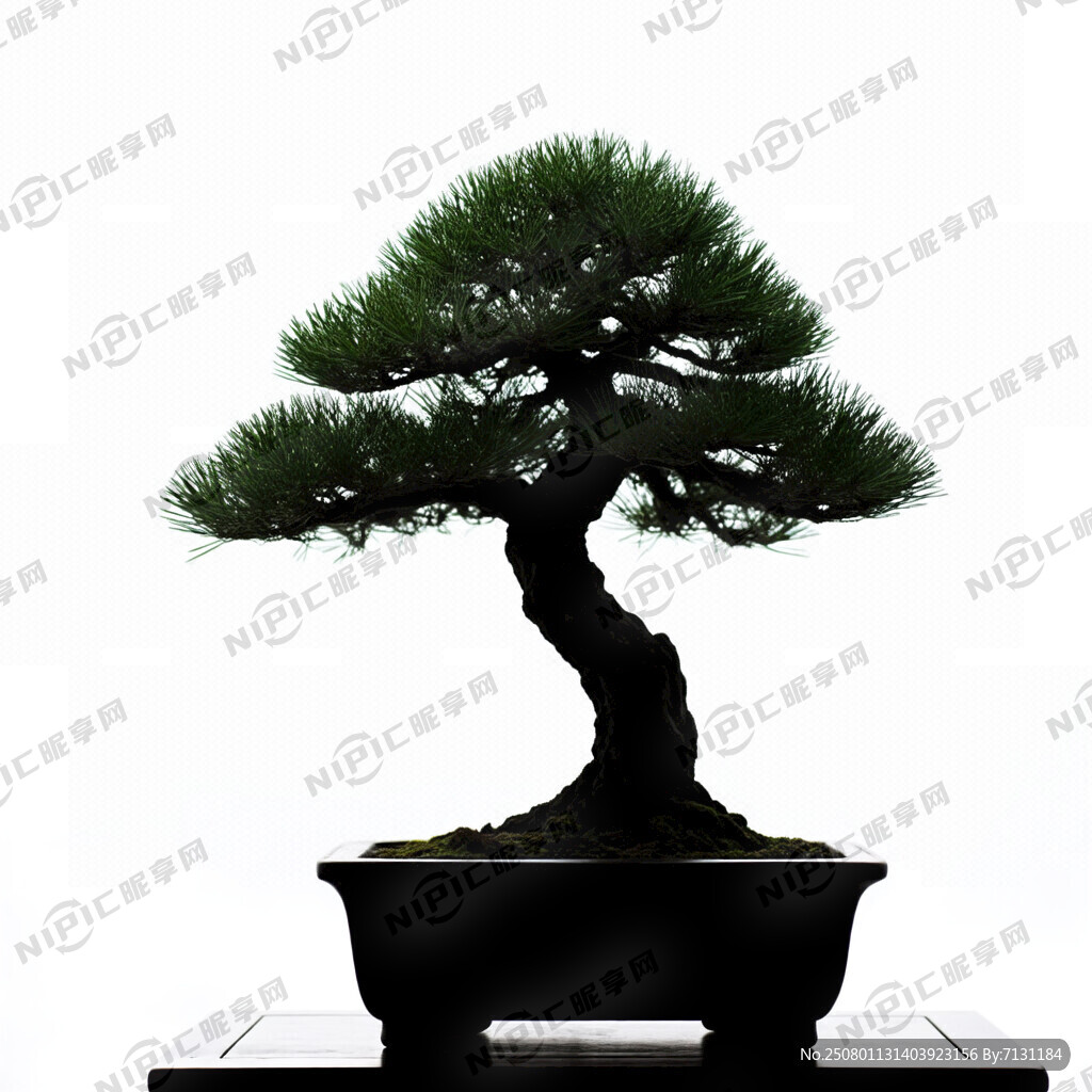 盆景黑色剪影 简单图形