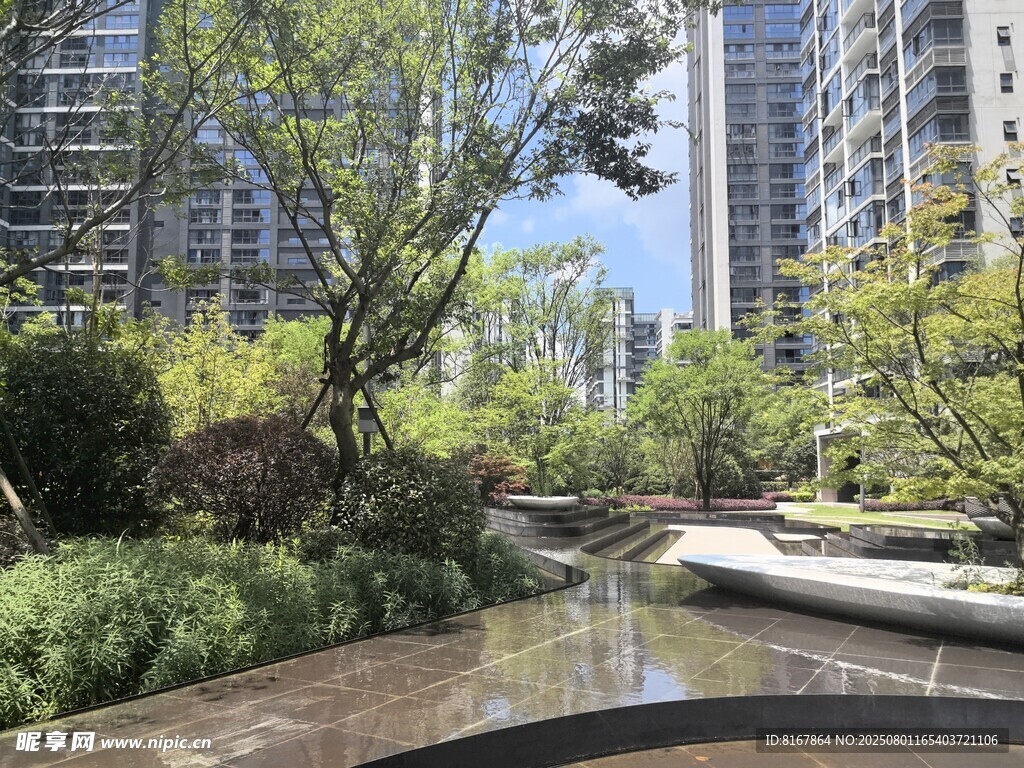 城市中的静谧河畔景观