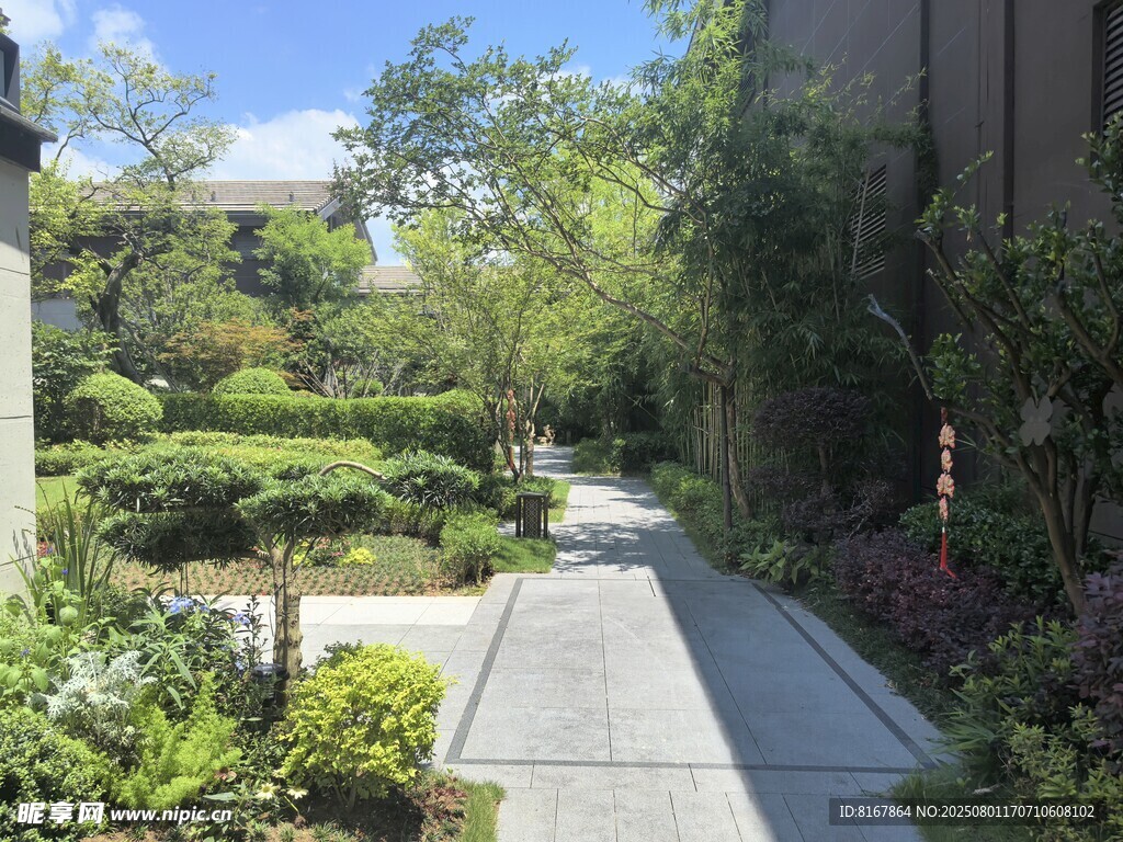 静谧庭院中的清幽小径