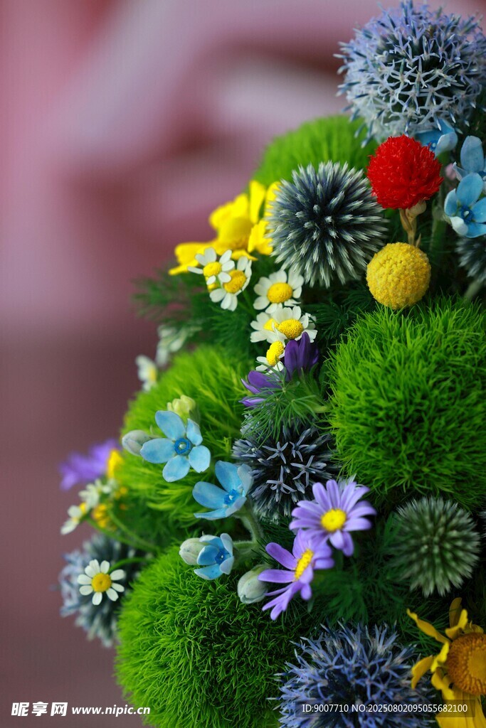 多彩绿植花卉组合景观