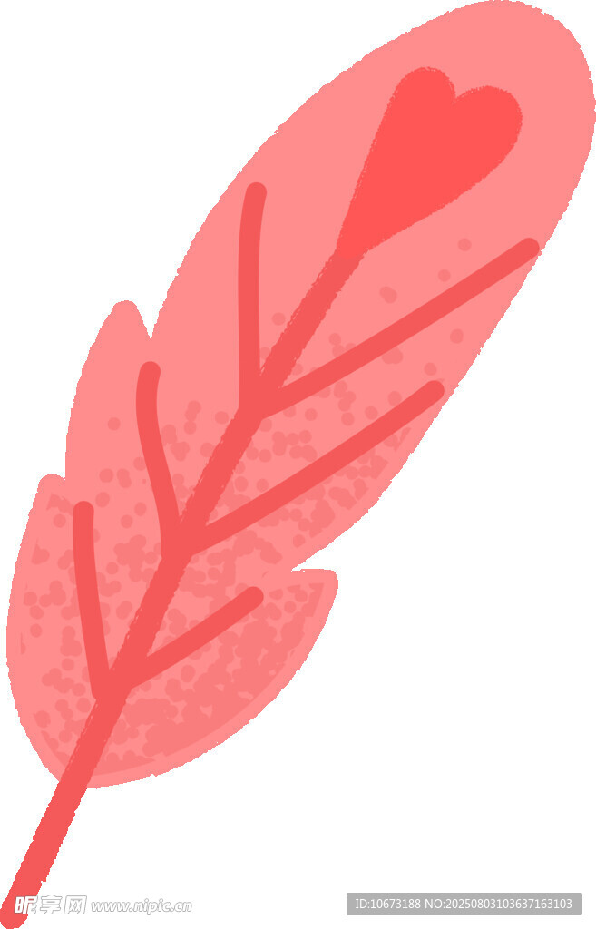 粉色羽毛插画