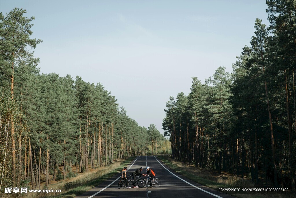 公路上的自行车骑行队伍