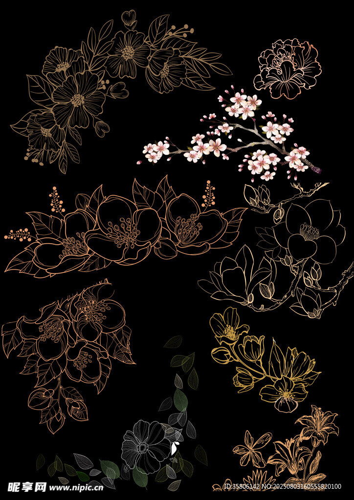 花卉植物图案设计素材