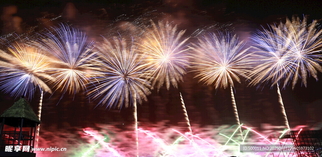 绚丽烟花绽放夜空