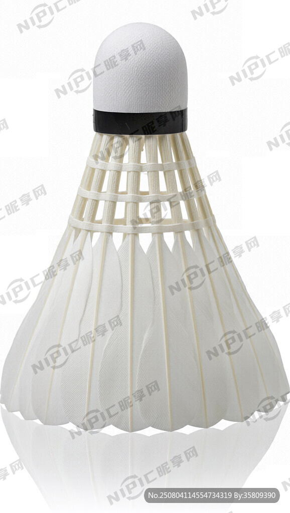 帮我设计尤尼克斯羽毛球图案