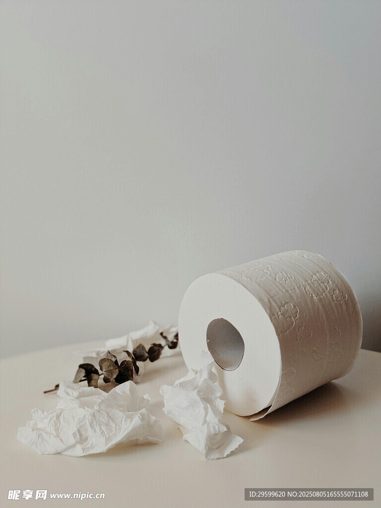 猫咪玩卫生纸场景