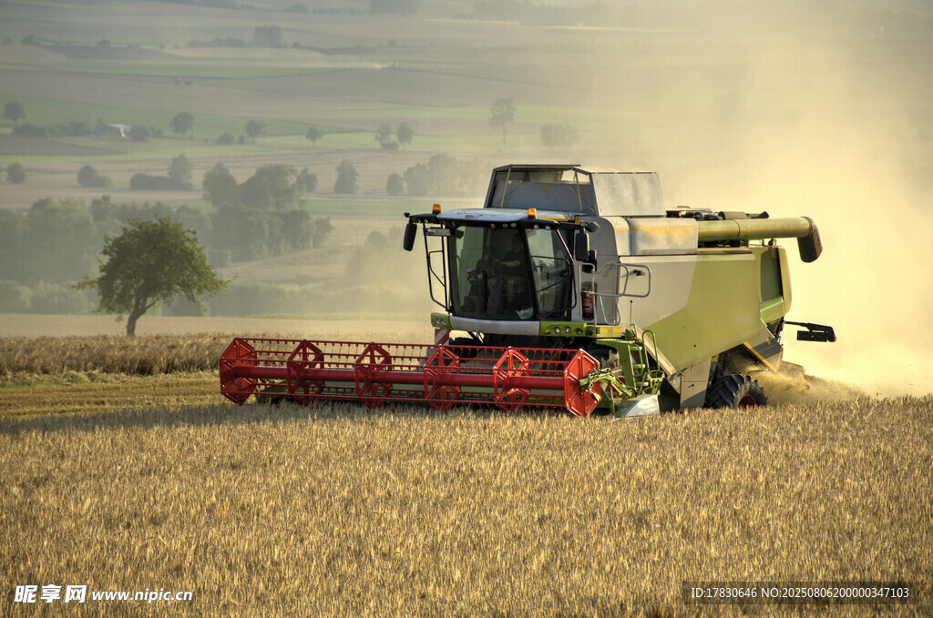 田野中的联合收割机作业