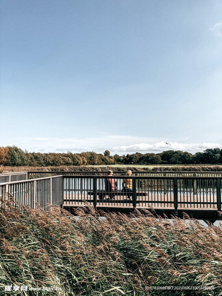 湖畔木栈道上的悠闲时刻