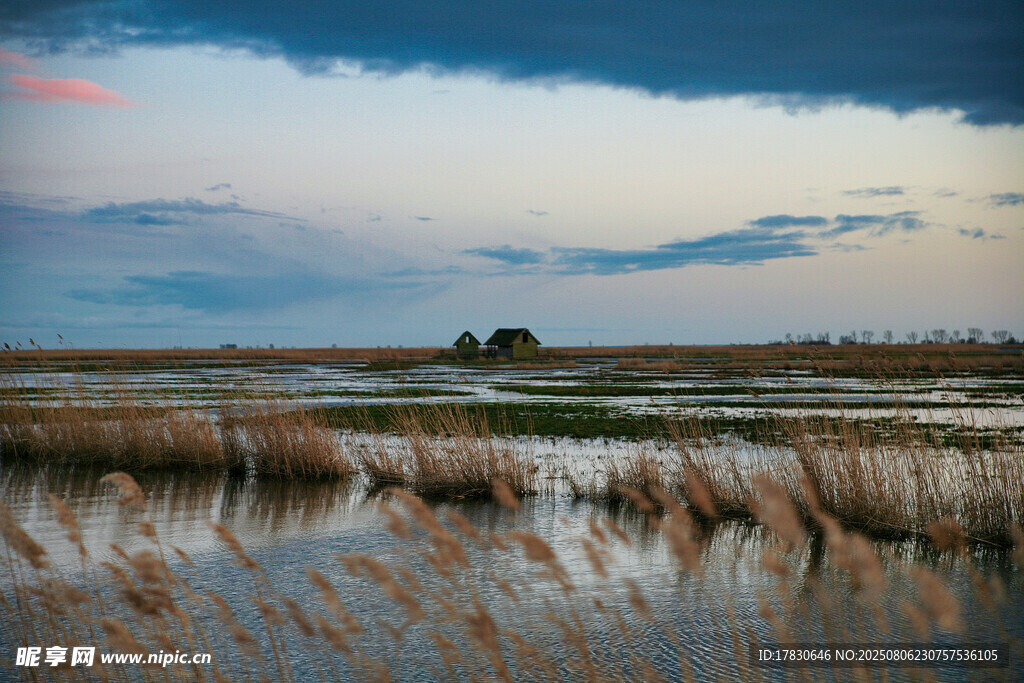 湿地黄昏景色