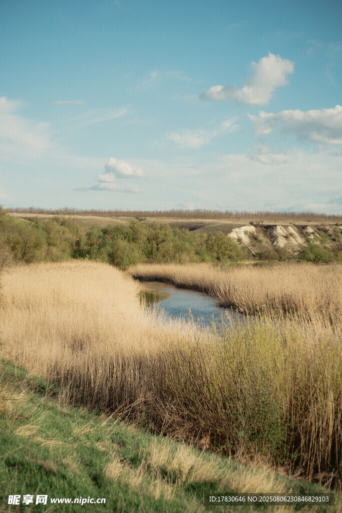 草原中的静谧小水塘