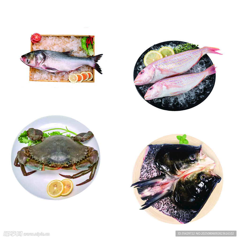 多样海鲜美食展示