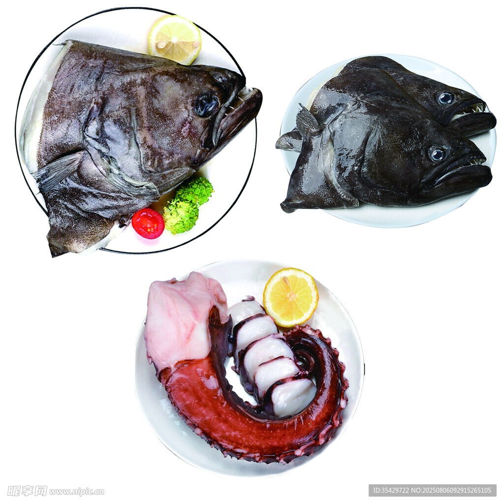 多样肉类食材展示