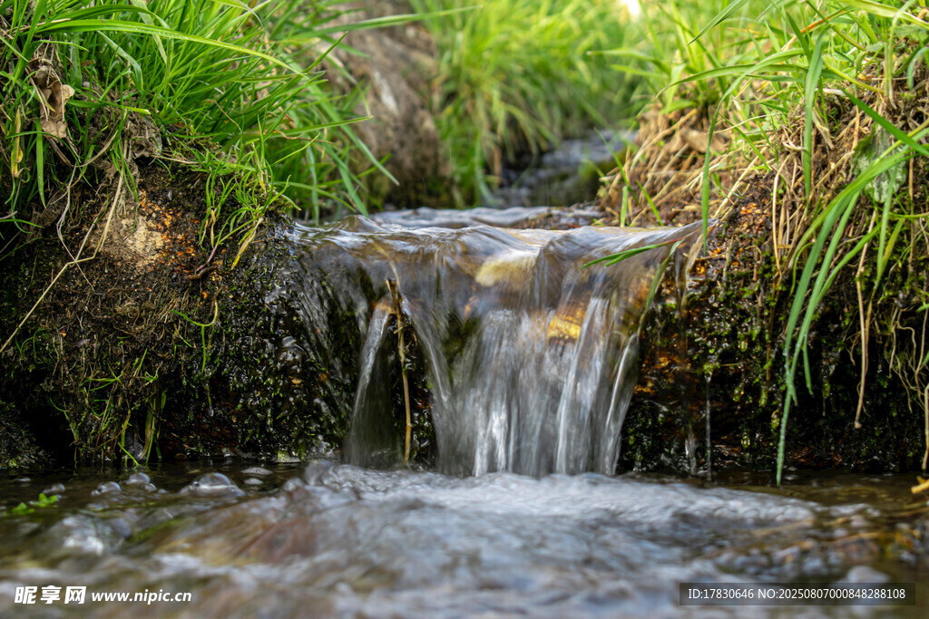 山间小溪潺潺流水美景