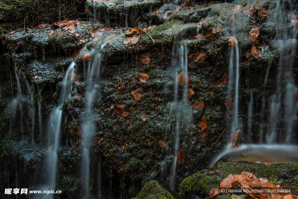 山间瀑布与落叶美景