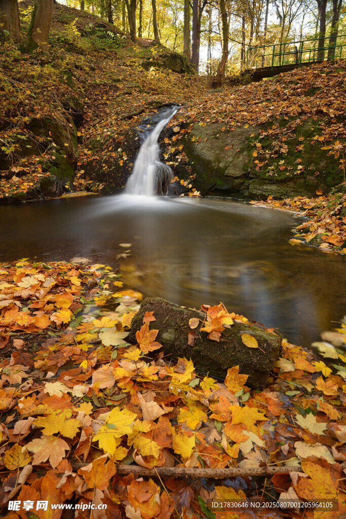 秋日溪边落叶美景