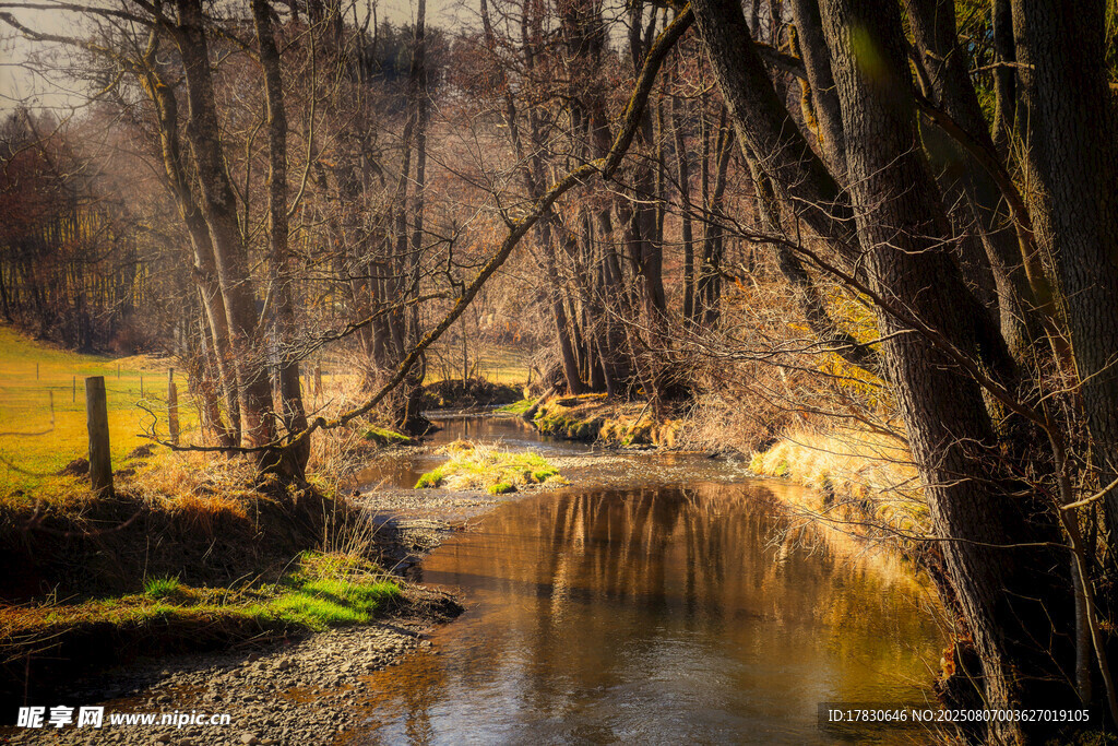 秋日溪边树林美景