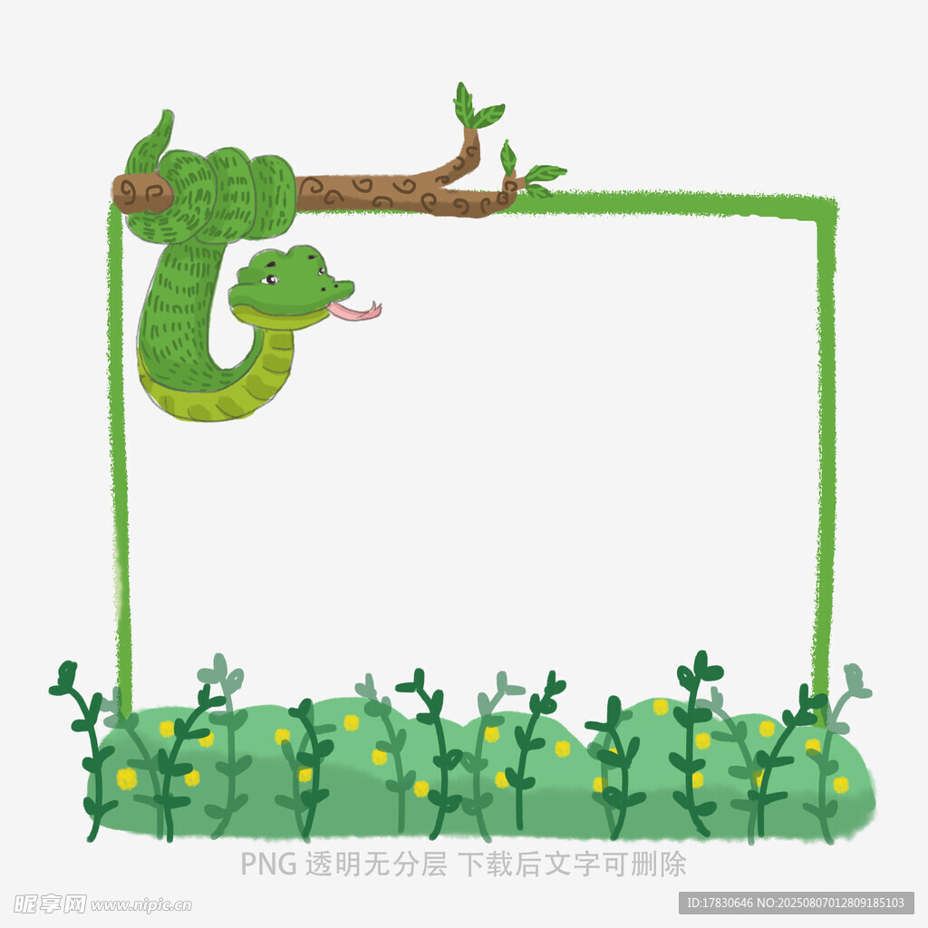 绿色藤蔓植物边框插画