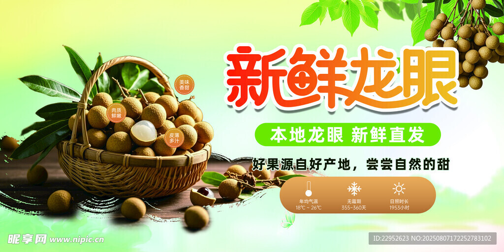 新鲜农家龙眼水果展板