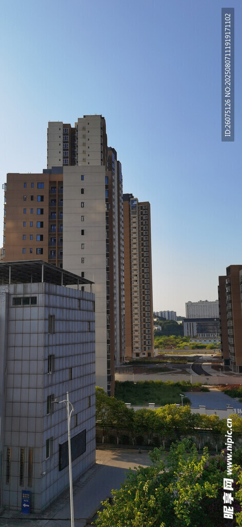 城市高楼与绿植景观