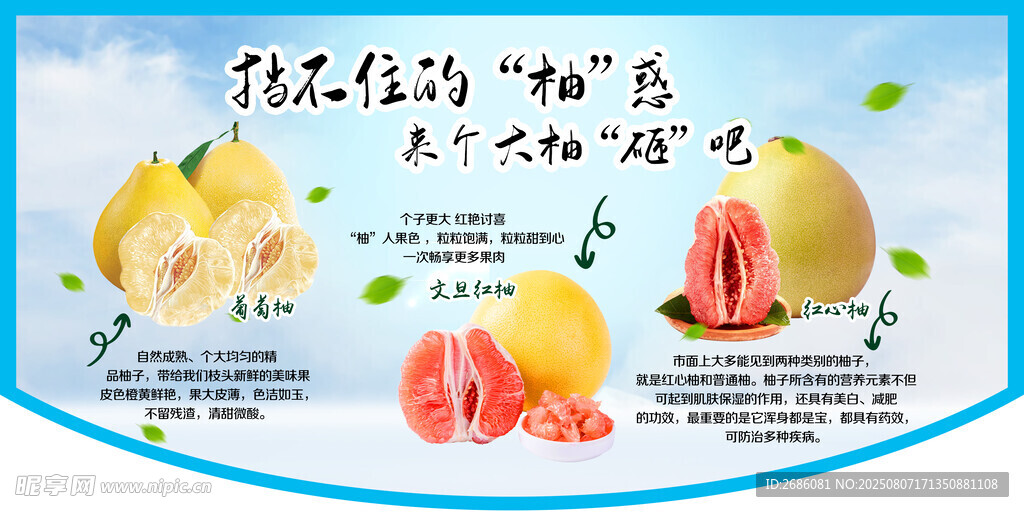 柚子  蓝色 异形吊旗